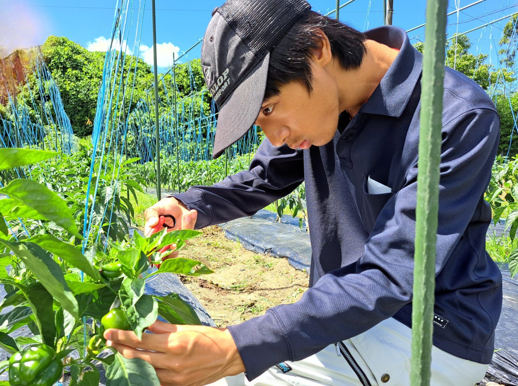 明るい施設の外観・エントランス