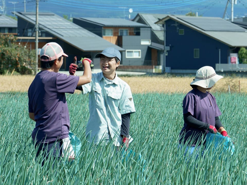子どもたちが公園で楽しそうに遊んでいる様子